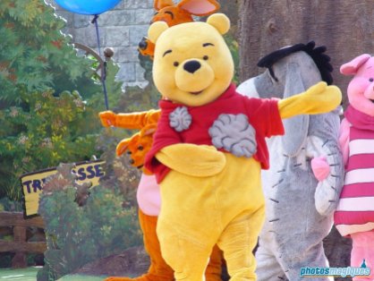 Winnie the Pooh and Friends, Too